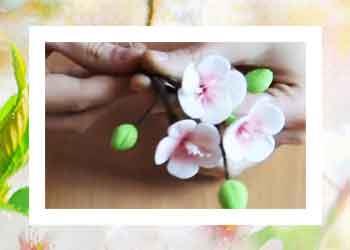 آموزش گل خمیری طرح شکوفه گیلاس
